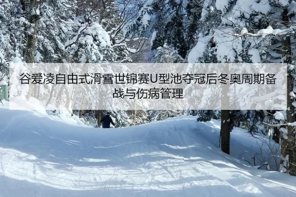 谷爱凌自由式滑雪世锦赛U型池夺冠后冬奥周期备战与伤病管理